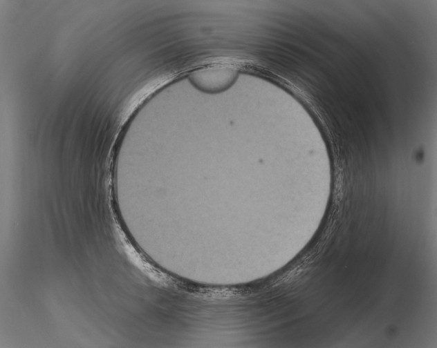 X0000115121042200912081340