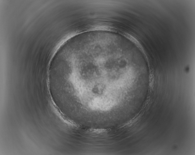 X0000115121043200912081340