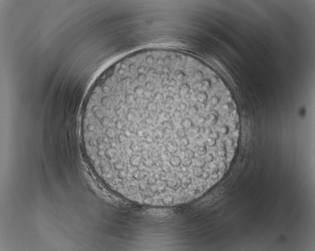 X0000115121044200912081340