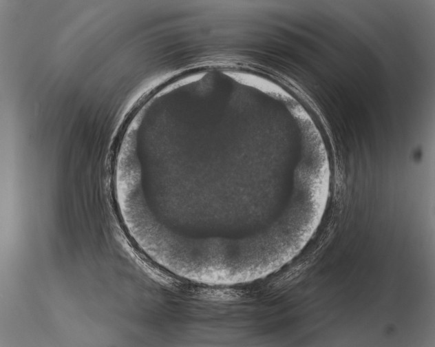 X0000115121045200912081340