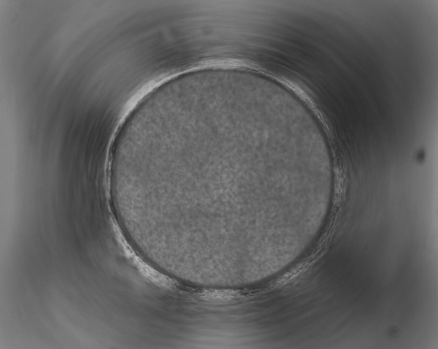 X0000115121046200912081340