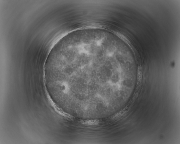 X0000115121047200912081340