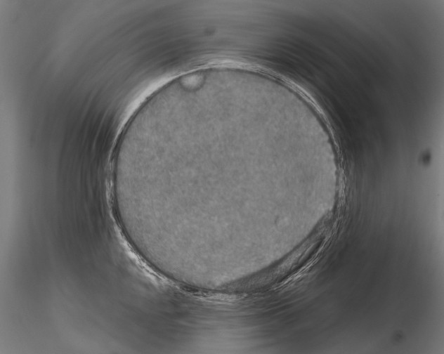 X0000115121048200912081340