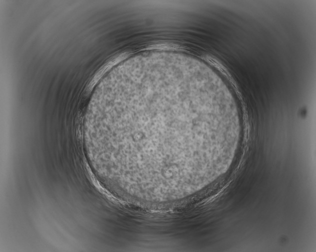 X0000115121049200912081340