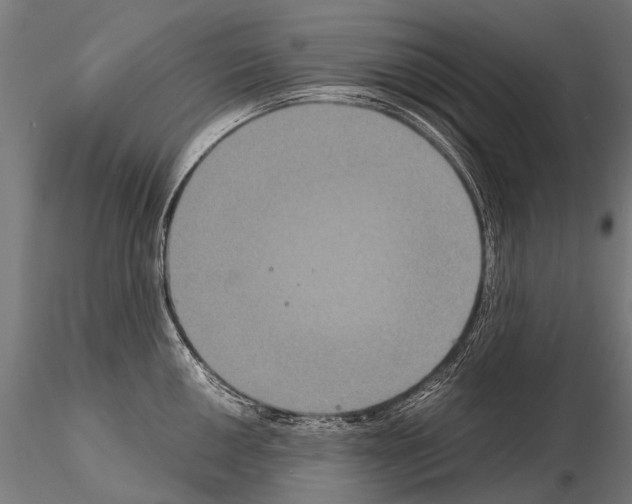 X0000115121050200912081340