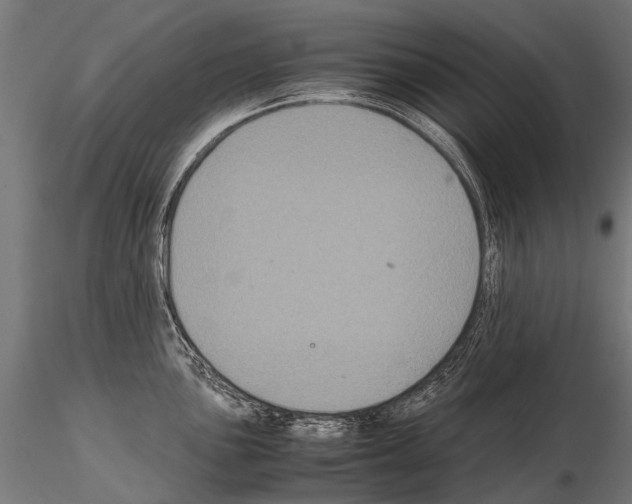 X0000115121051200912081340