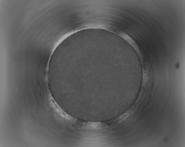 X0000115121052200912081340