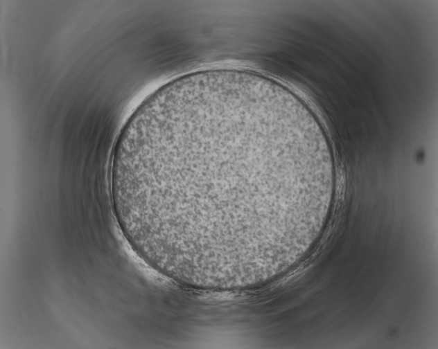 X0000115121054200912081340