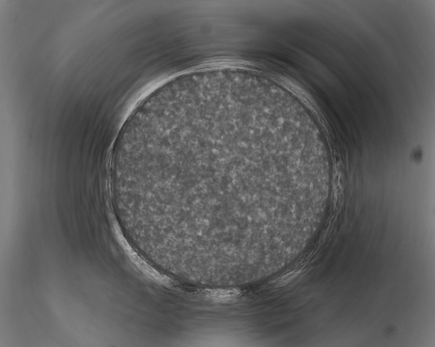 X0000115121055200912081340