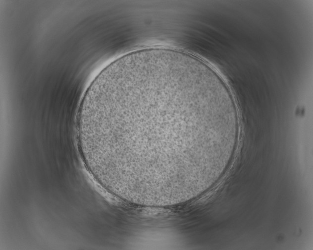 X0000115121056200912081340