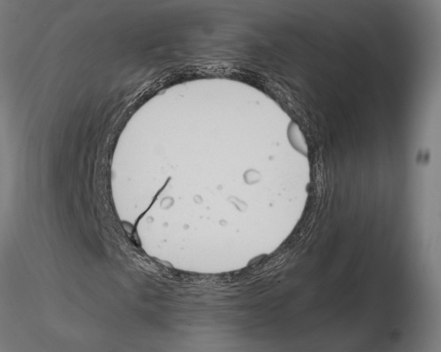 X0000115121057200912081339