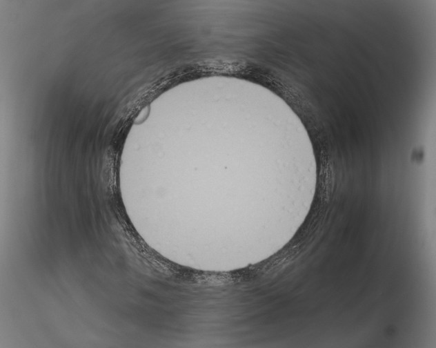 X0000115121058200912081339