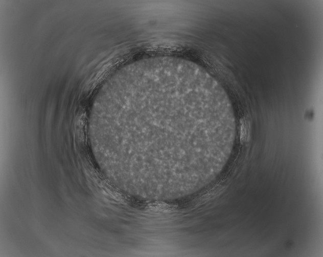 X0000115121059200912081339