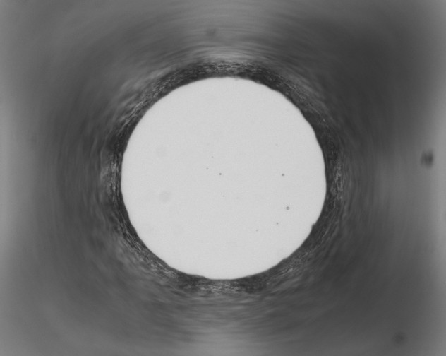 X0000115121061200912081339