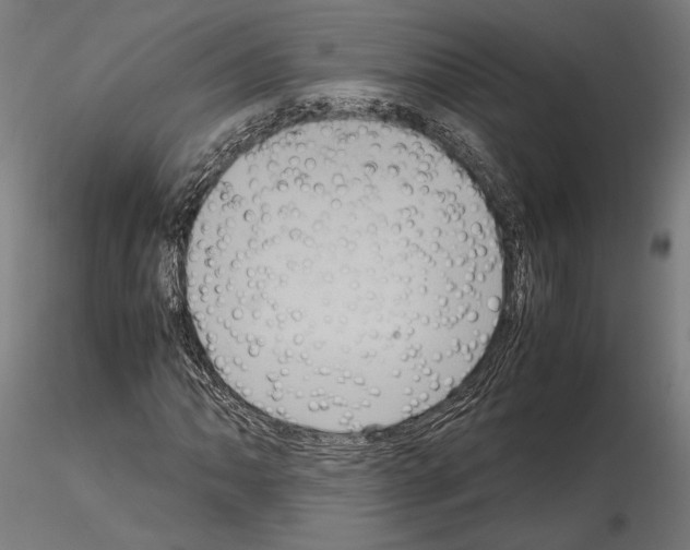 X0000115121062200912081339