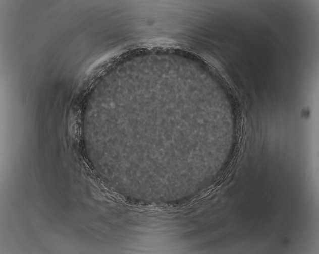 X0000115121063200912081339