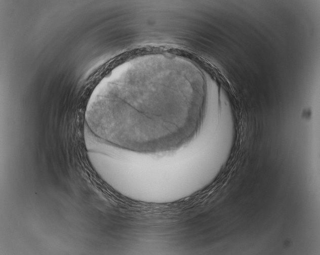 X0000115121064200912081339