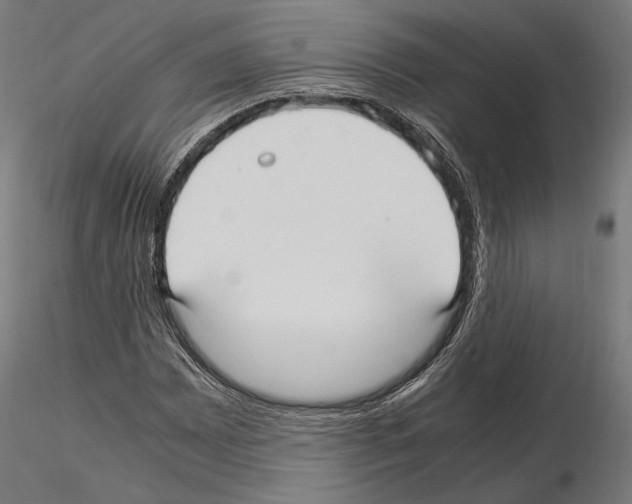 X0000115121065200912081339