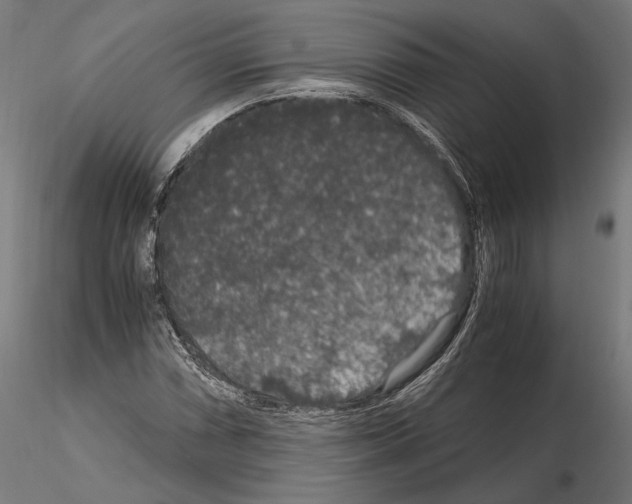 X0000115121066200912081339