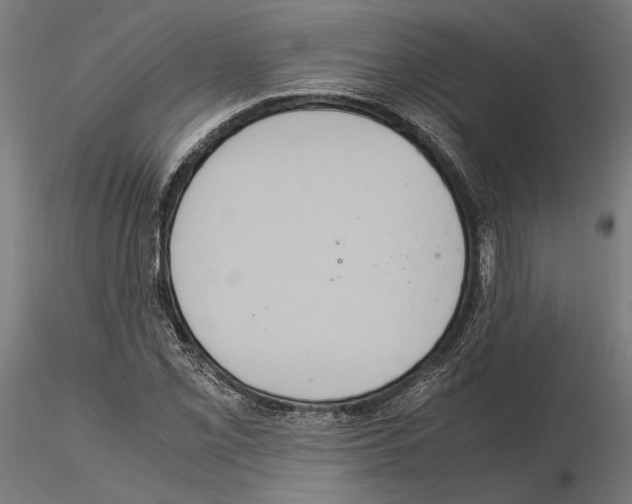 X0000115121069200912081339