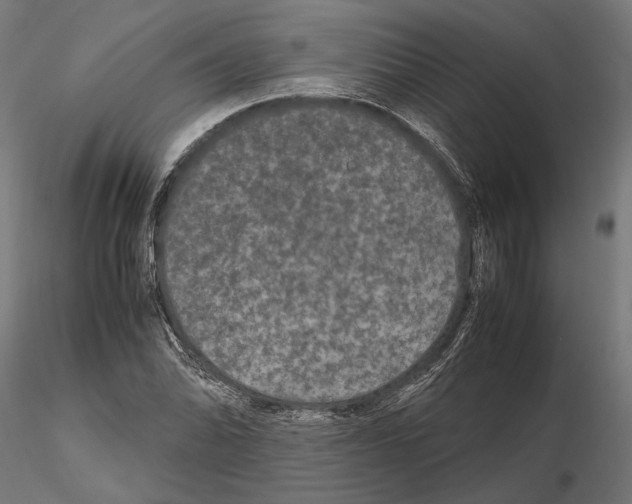 X0000115121070200912081339