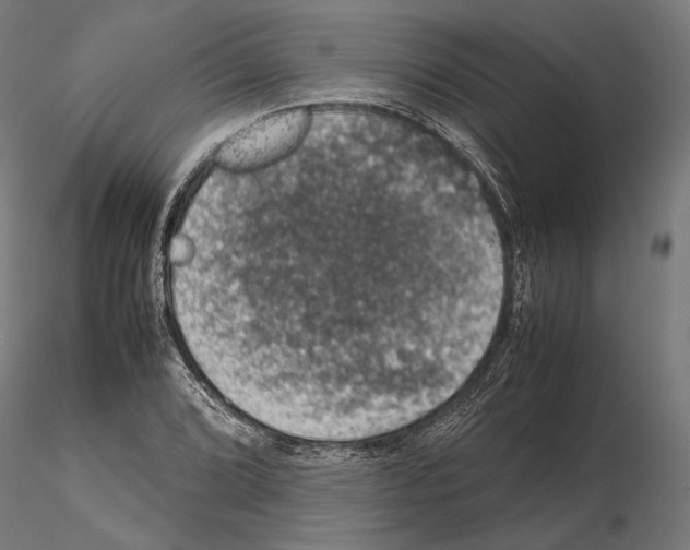 X0000115121072200912081339