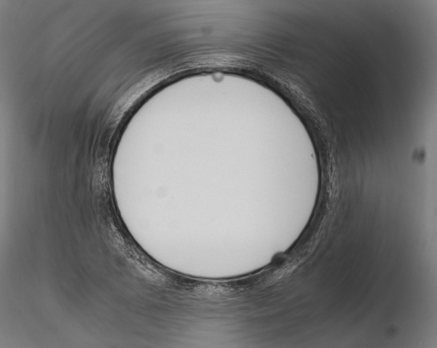 X0000115121073200912081339