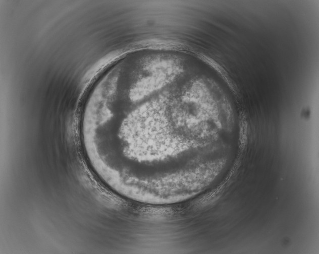 X0000115121074200912081339