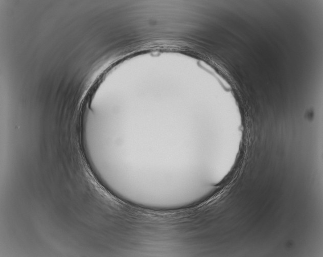 X0000115121075200912081339