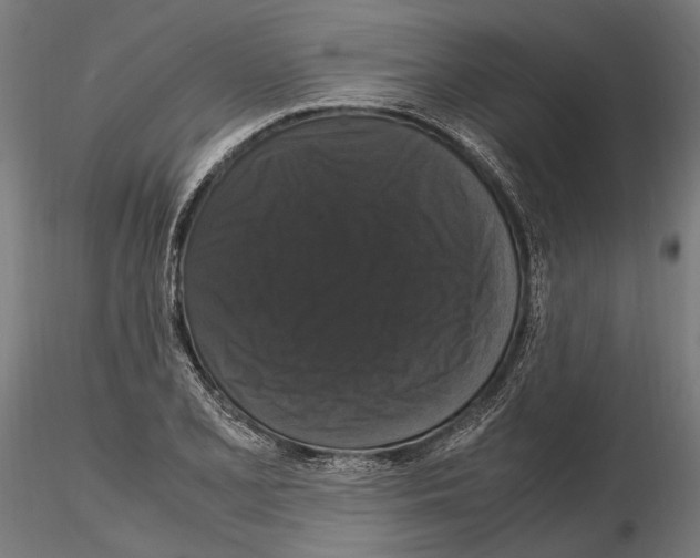 X0000115121077200912081339