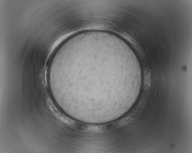 X0000115121078200912081339