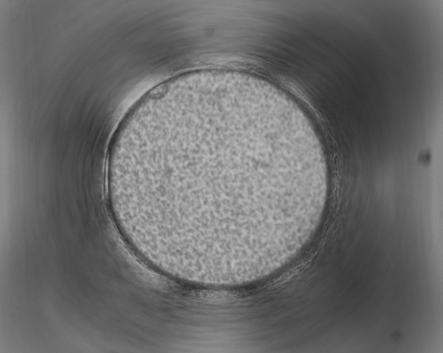 X0000115121079200912081339