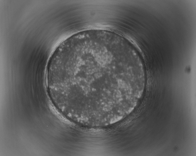 X0000115121080200912081339