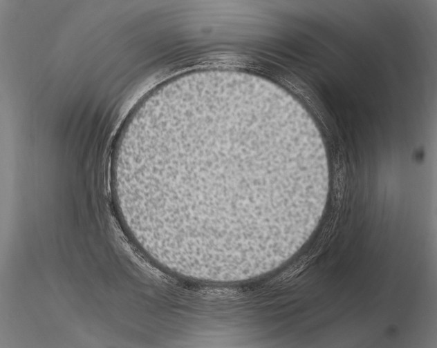 X0000115121083200912081339