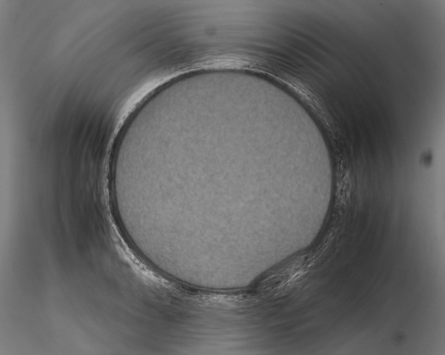 X0000115121086200912081339