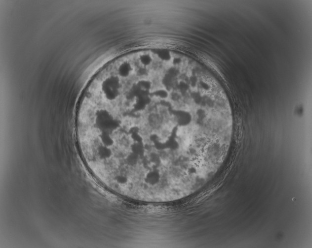 X0000115121087200912081339