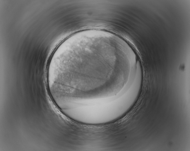 X0000115121088200912081339