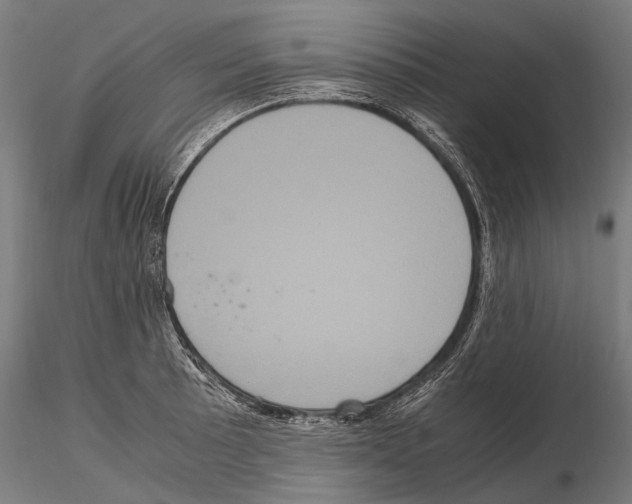 X0000115121089200912081339