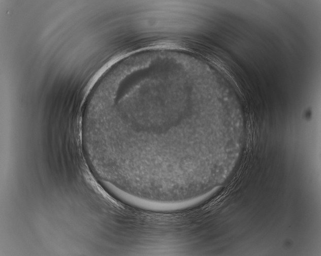 X0000115121092200912081339