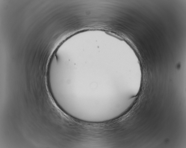 X0000115121093200912081339