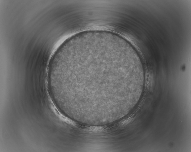 X0000115121094200912081339