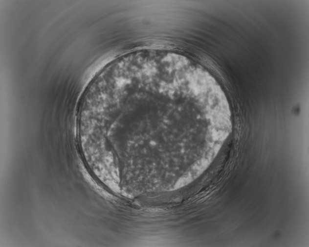 X0000115121095200912081339