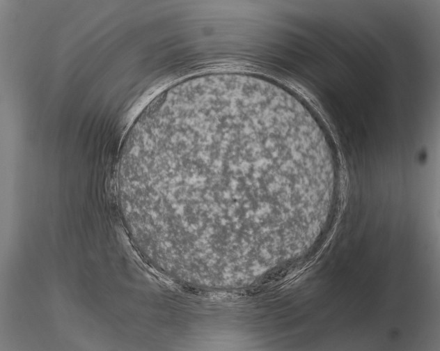 X0000115121097200912081339