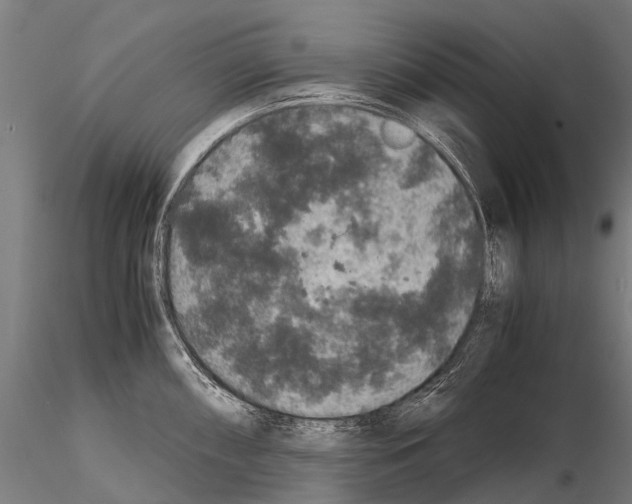 X0000115121098200912081339