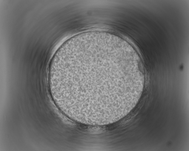 X0000115121099200912081339