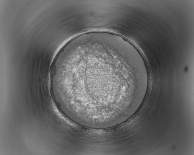 X0000115121100200912081339