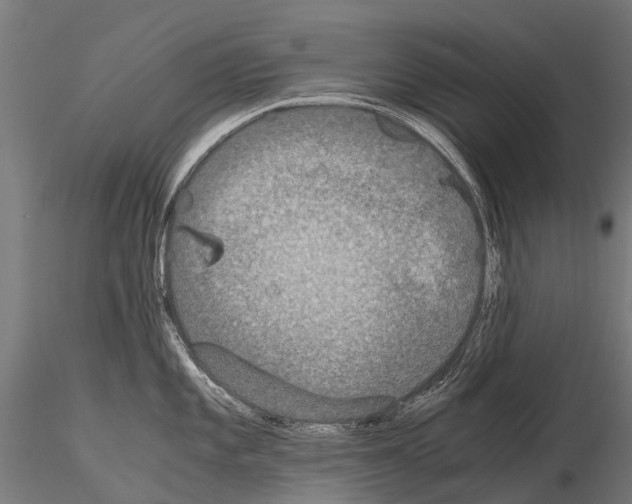 X0000115121101200912081339