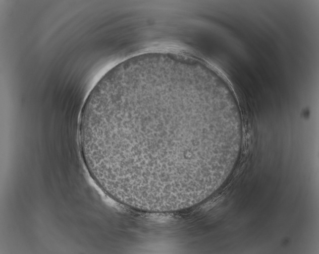 X0000115121103200912081339