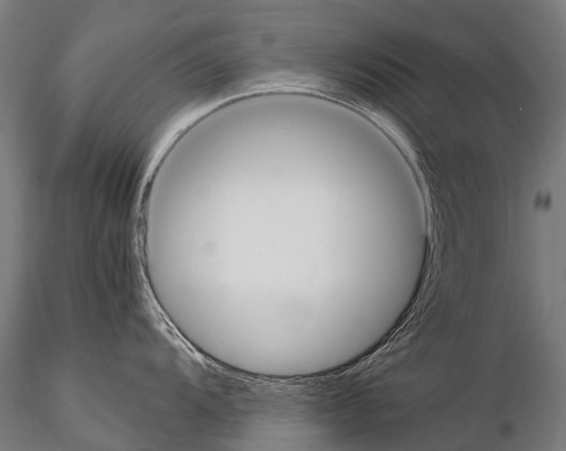 X0000115121104200912081339