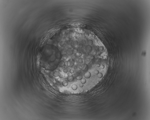 X0000115121106200912081338